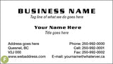 500 Economy Business Cards