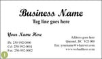 500 Economy Business Cards